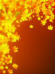 Image showing Autumn leaves  background