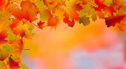 Image showing Abstract colorful autumn background