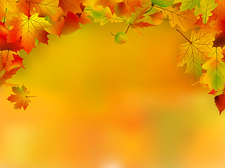 Image showing Autumn card of colored leafs with copy space
