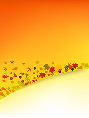 Image showing Autumn vector background with leafs.