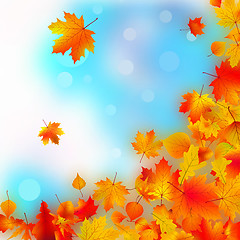 Image showing Falling fall leaves.