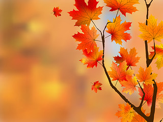 Image showing Autumn red leaves, shallow focus.