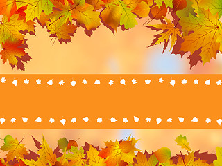 Image showing Thank You Card With A Leaves Background