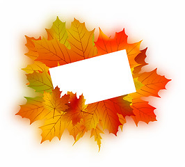 Image showing Autumn card on white.
