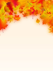 Image showing Vivid autumnal leaves frame for your text.