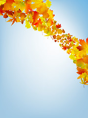 Image showing Abstract colorful autumn background