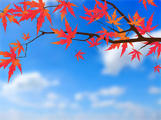 Image showing Japanese autumn.