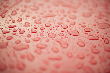 Image showing Abstract background - water drops on red plastic