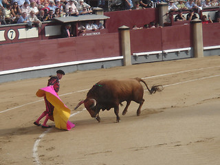 Image showing bullfight