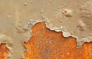 Image showing Iron sheet with damaged paint