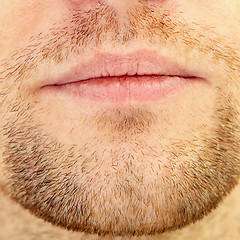 Image showing Beard and lips