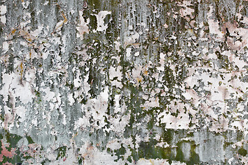 Image showing Tatter of multi-colored old paint on wall