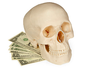 Image showing Skull lying on a pack of money isolated on white