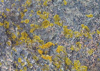 Image showing Natural stone with patches of lichen