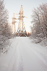 Image showing High-voltage support in winter wood