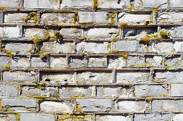 Image showing Wall covered with moss with decayed bricks