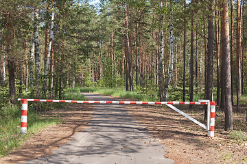 Image showing Wooden barrier blocking way to wood