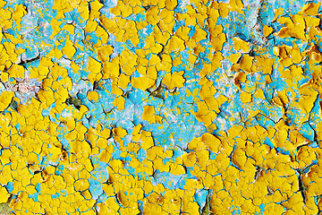 Image showing Surface of cracked paint blue and yellow