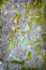 Image showing Background - grunge decayed concrete wall