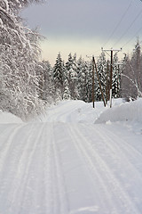 Image showing Winter