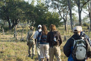 Image showing Walking safari