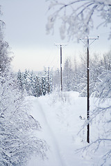 Image showing Winter