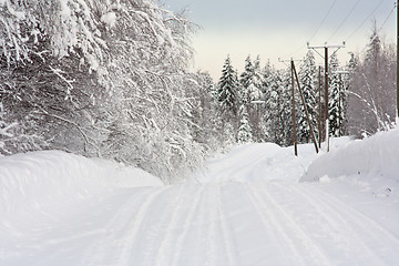 Image showing Winter