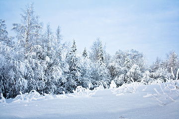 Image showing Winter