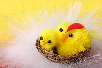 Image showing Easter chickens in the nest 