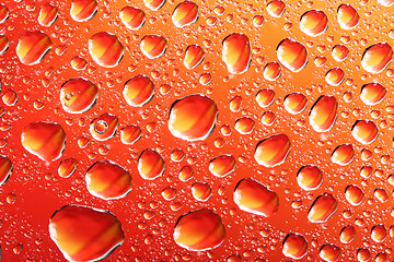 Image showing Orange water drops