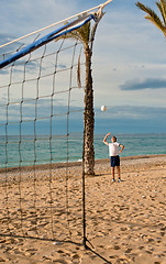 Image showing Beach volley