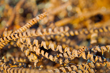 Image showing Rusty metal shaving - waste of industry