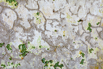 Image showing Cracks and spots of green paint on old plaster