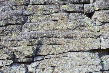 Image showing Rock covered with lichen