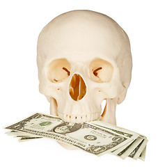 Image showing Skull devours money, isolated on white