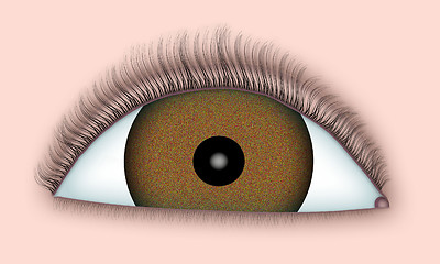 Image showing Brown Eye