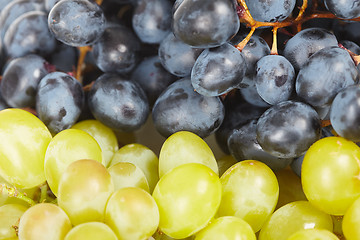 Image showing Grapes are two different kinds