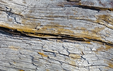 Image showing Rotten wood with crack