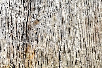 Image showing Surface of rotten wooden board close up