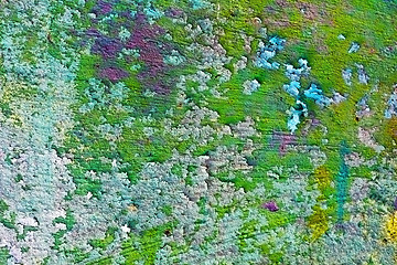 Image showing Uneven mangy old wall with green paint