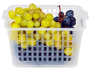 Image showing Basket with grapes on white background