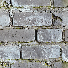 Image showing Seamless background - dirty moldy brick wall