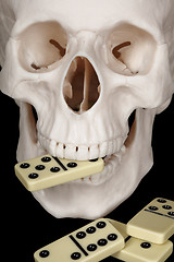 Image showing Skull clutched in teeth dominoes