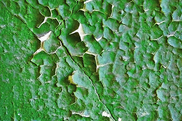 Image showing Old cracked paint green wall