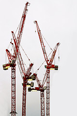 Image showing Cranes