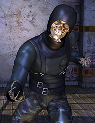 Image showing Skeleton Ninja fighters