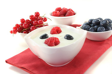 Image showing Fruit yogurt