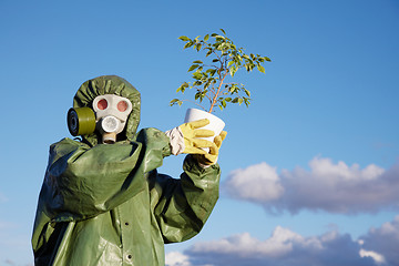 Image showing Person in protective clothes holds last ficus