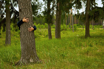 Image showing Man hugging big tree in forest