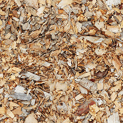 Image showing Wood shavings - seamless texture